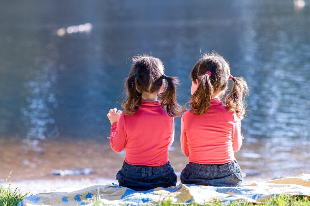 Autism Reversal in Twin Girls Through Lifestyle and Environmental Changes: Case Study
