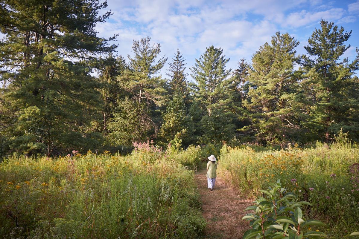 This Master Forager Wants You to Love the Weeds in Your Garden