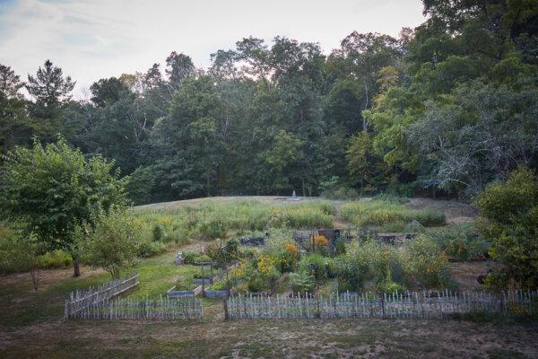 Ms. Wong’s New Jersey garden is a combination of a lawn, raised beds where she grows vegetables and herbs, and wild meadow where native edible treasures thrive. (Ngoc Minh Ngo)