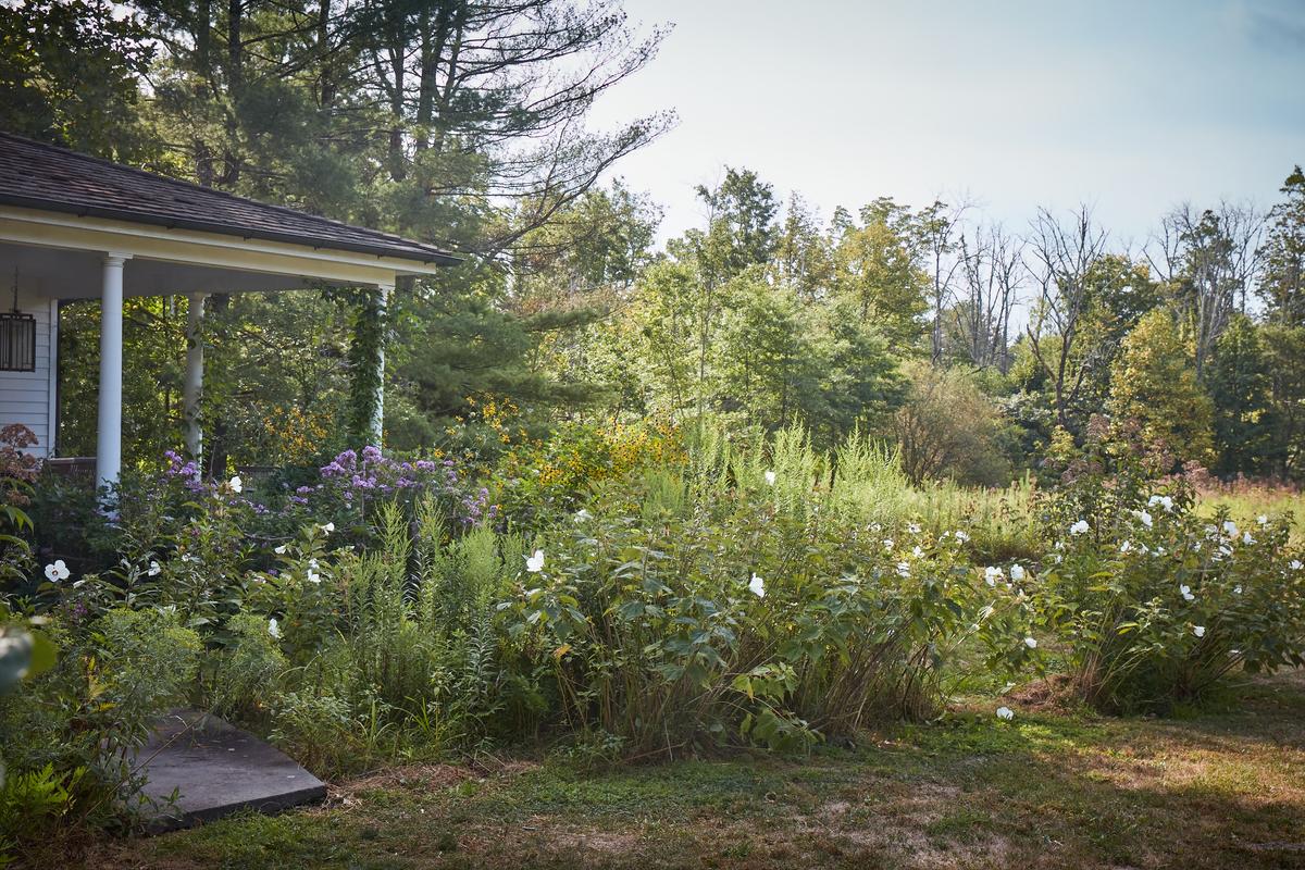 Flowers grow wild around Ms. Wong’s New Jersey home. (Ngoc Minh Ngo)