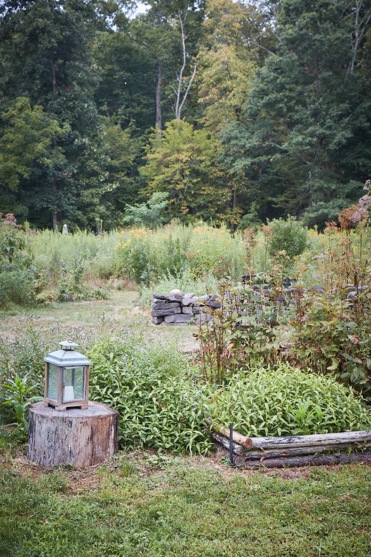 Ms. Wong constructs garden beds, fences, and gates from foraged wood and vines, creating a more natural aesthetic that further blurs the boundary between cultivated and wild. (Ngoc Minh Ngo)