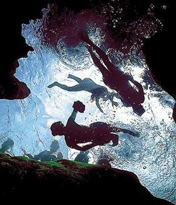 Swimmers explore Wekiwa Springs in Apopka, Florida. (Florida State Parks/TNS)