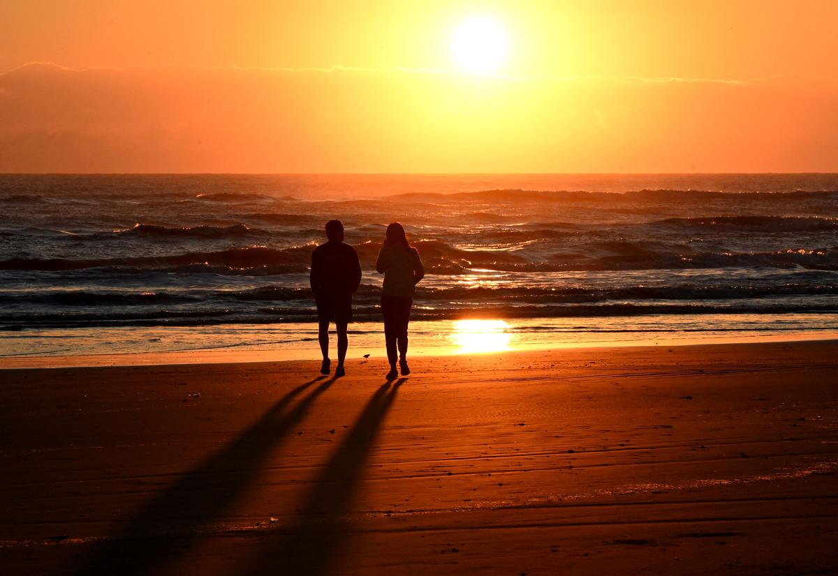 Shark Attacks Reported at Texas’ South Padre Island; 2 People Bitten, at Least One Severely