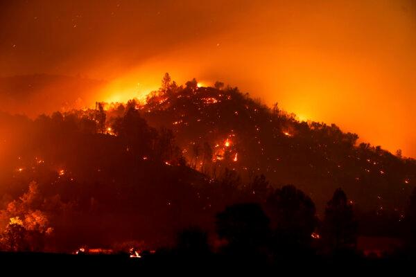 The French Fire burns a hillside above Mariposa, Calif., on July 5, 2024. (Noah Berger/AP Photo)