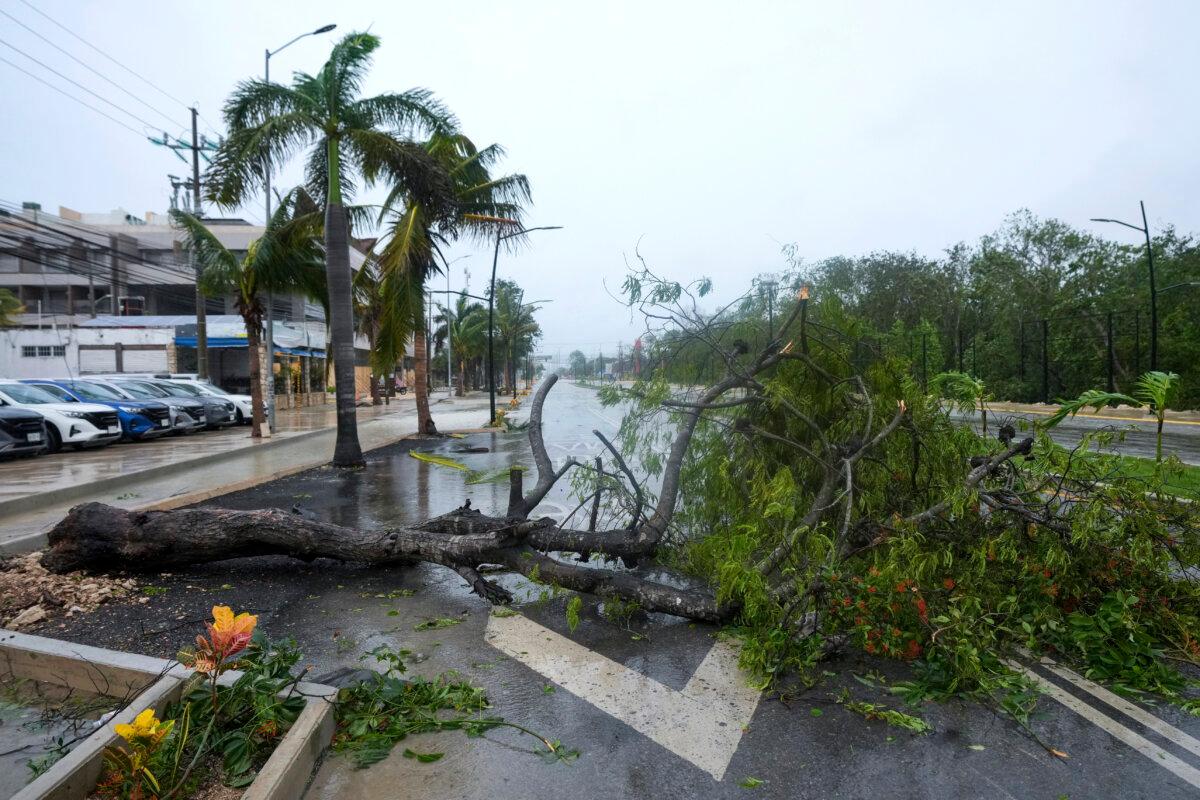 A tree uprooted by Hurricane Beryl lays on a street in Tulum, Mexico, on July 5, 2024. (Fernando Llano/AP Photo)