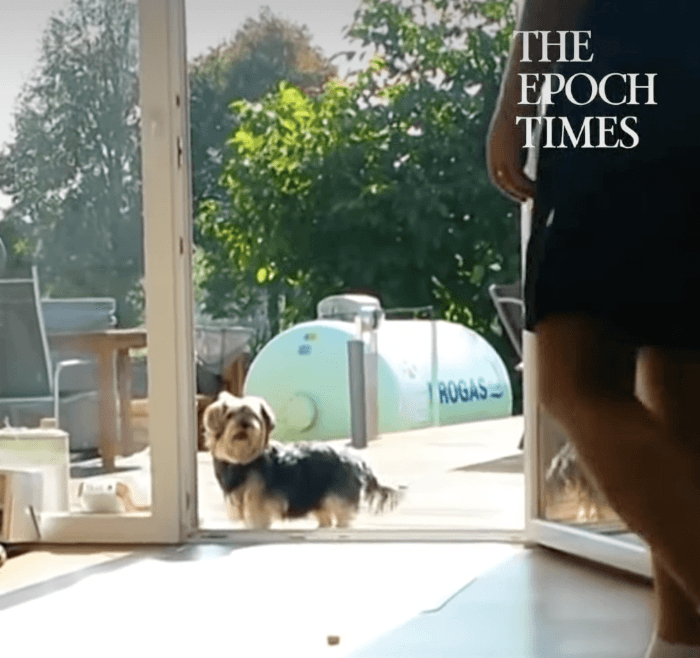 The Epoch Times