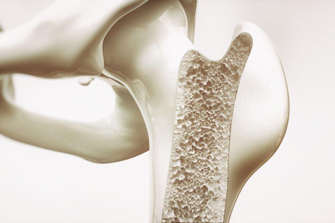 New Hormone Discovery Offers Hope for Osteoporosis Treatment