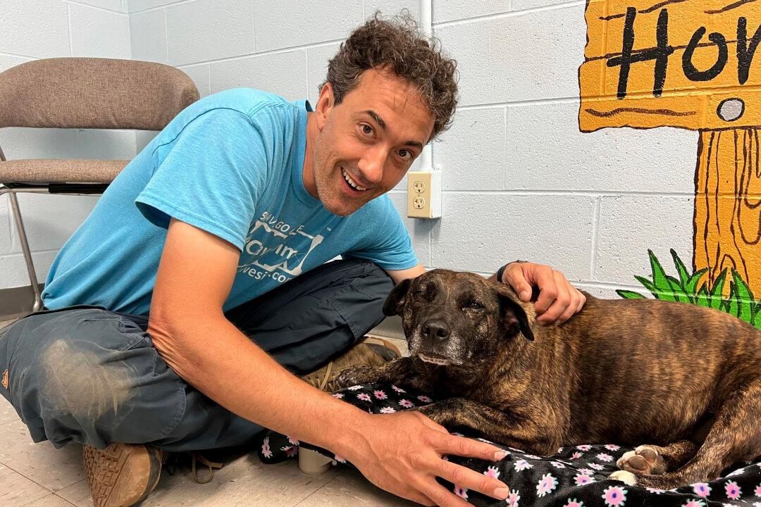 Cavers Exploring in Western Virginia Rescue ‘Miracle’ Dog Found 40 to 50 Feet Down in Cave