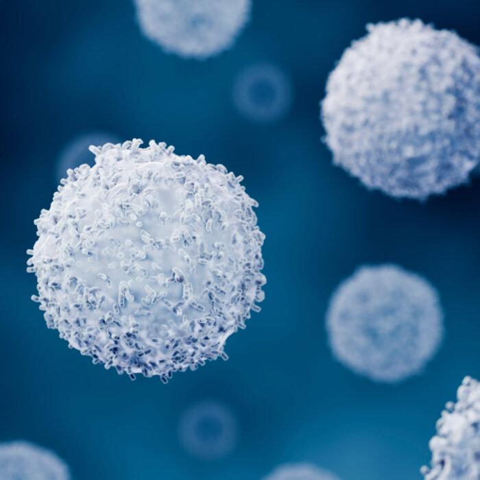 Scientists Find a Cause of Lupus and a Way to Potentially Reverse It