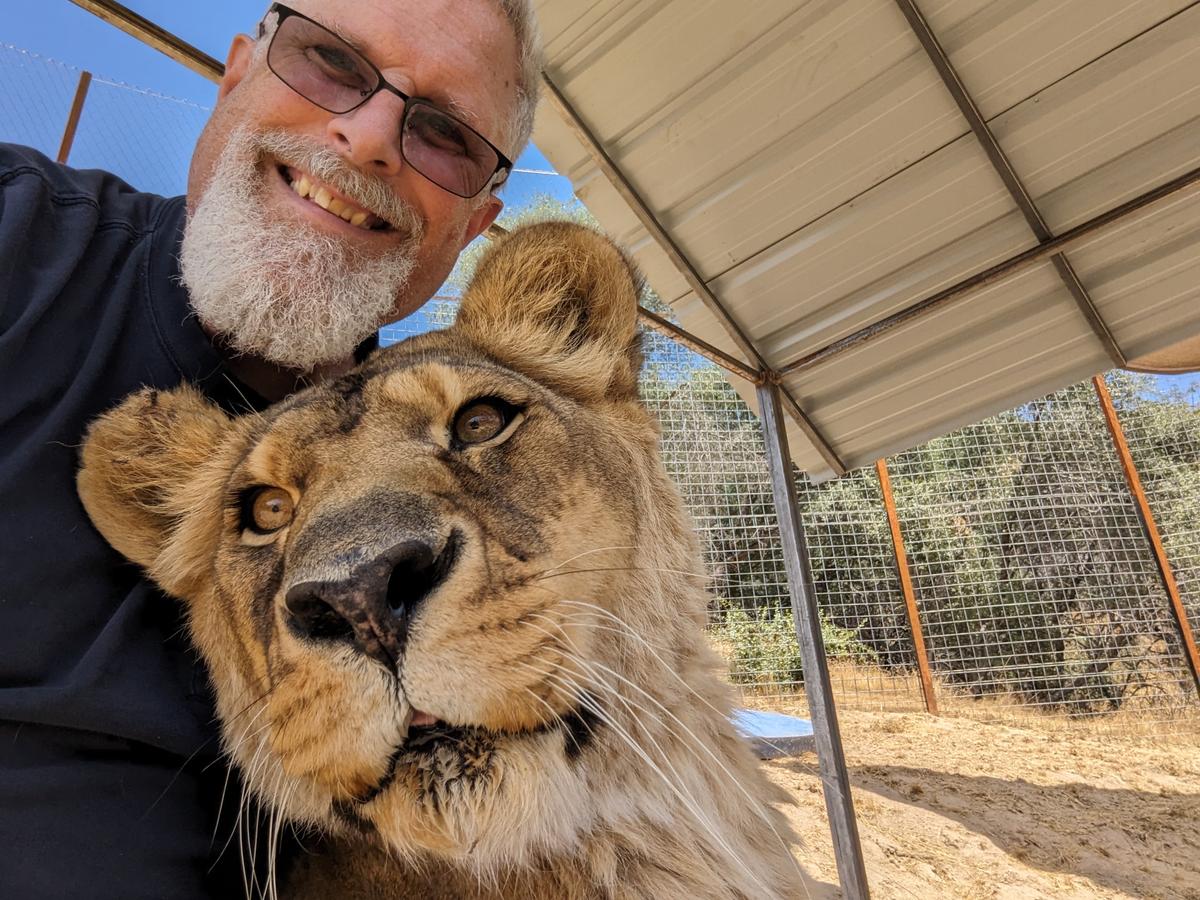 Big Cat Park in California Elevates Message of Conservation Through Education
