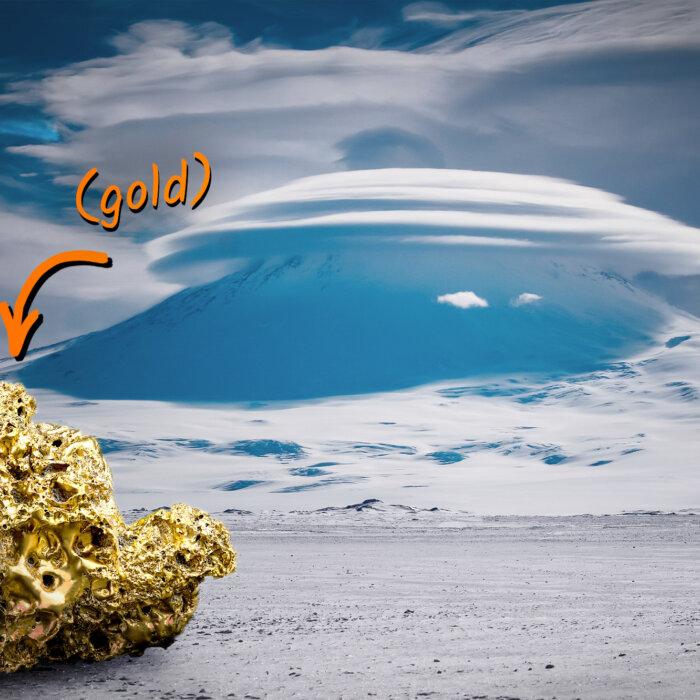 The Epoch Times