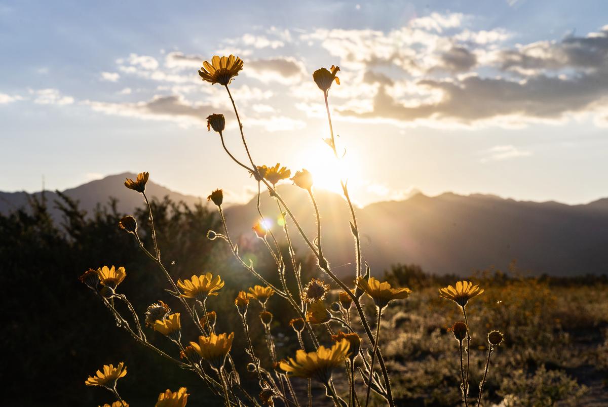 NOAA: July Sees Record Global Heat; Increased Drought Expected for Western US