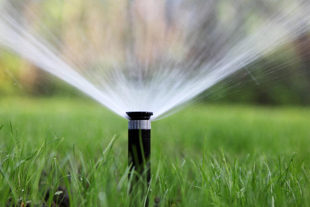Smart Irrigation Controller