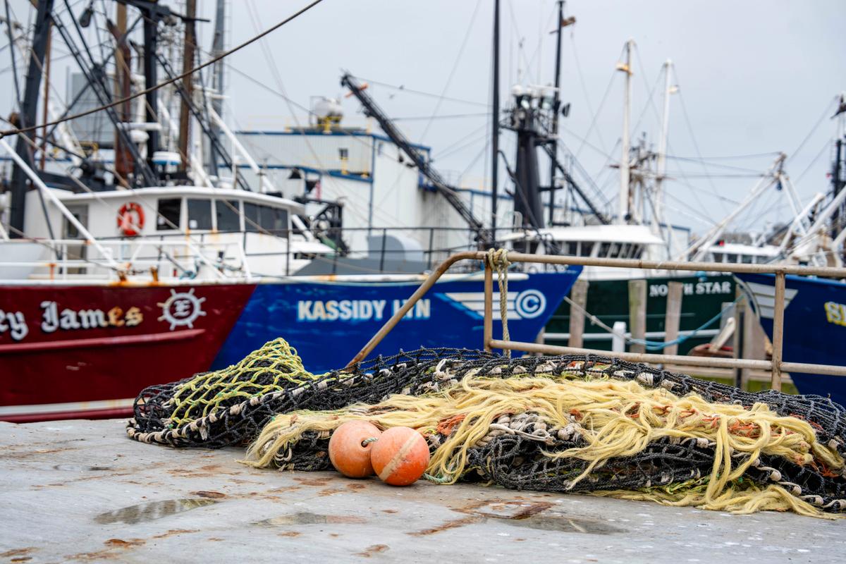 What to Know About Trump’s Orders to Boost US Fishing Industry thumbnail