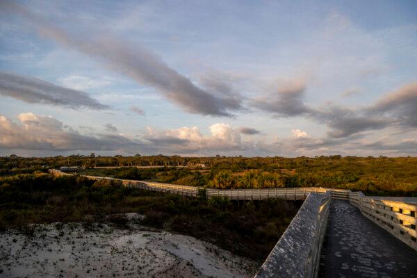Anastasia State Park's geography includes a mix of coastal dunes, tidal marshes, and maritime hammocks, providing habitats for various wildlife species. (Patrick Connolly/Orlando Sentinel/TNS)