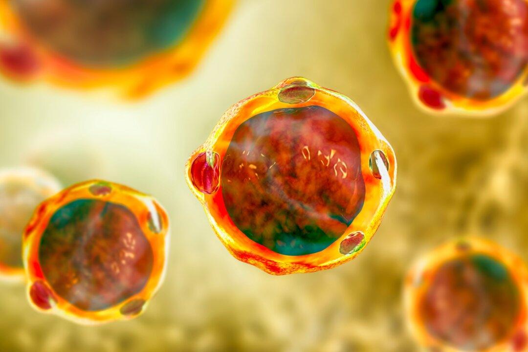 ‘Parasite’ Found in Healthy People: Study