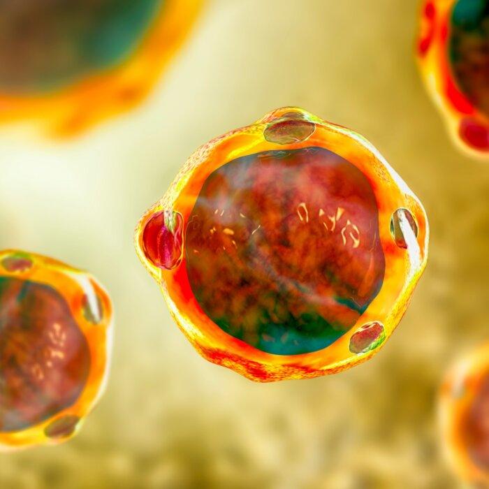 ‘Parasite’ Found in Healthy People: Study