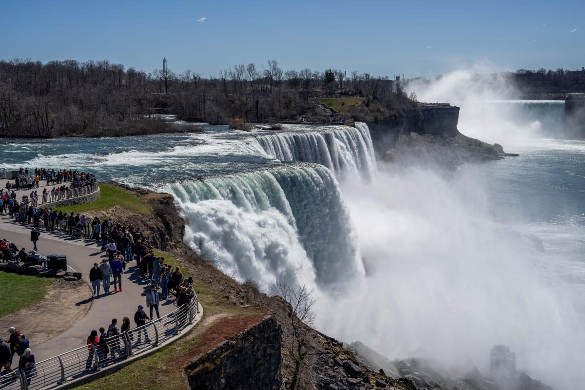 Pilot Who Died in Crash After Releasing Skydivers Near Niagara Falls Has Been Identified