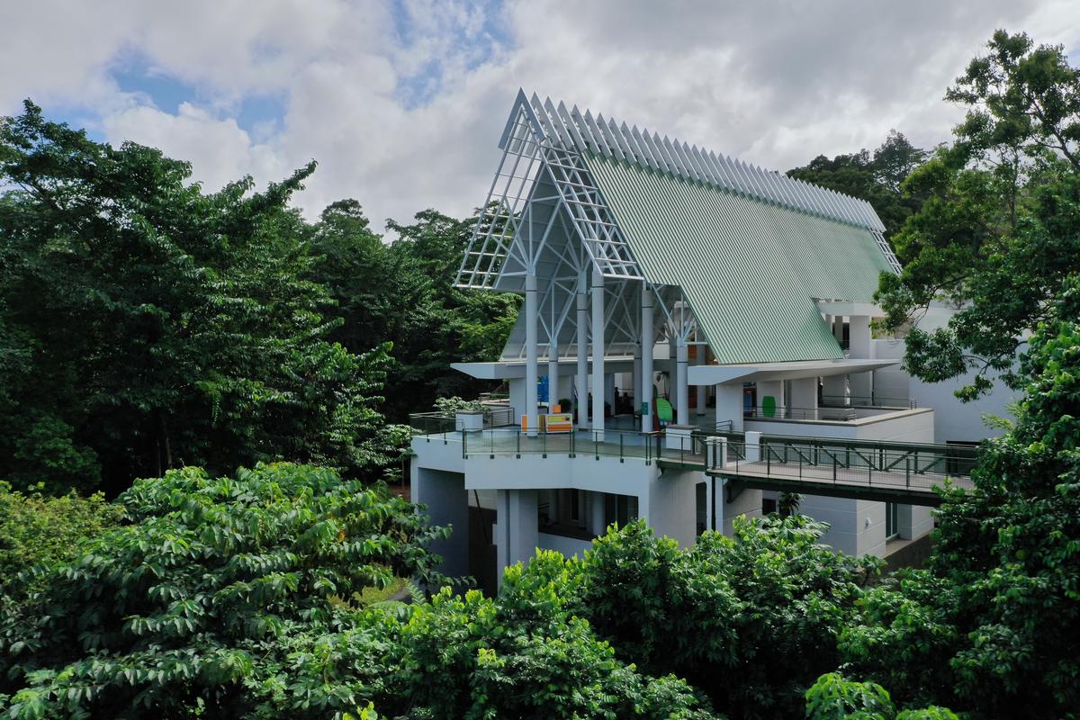 The elevated walkway at El Portal Visitor Center allows visitors to explore the forest canopy and experience the rainforest from a different perspective. (Courtesy El Portal de El Yunque Visitor Center)