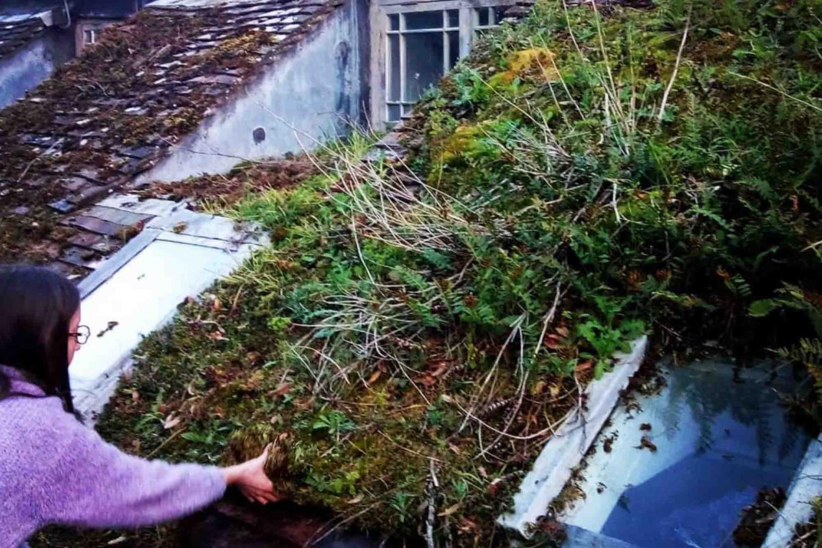 裝修前的屋頂。(由Pitchford Estate提供)