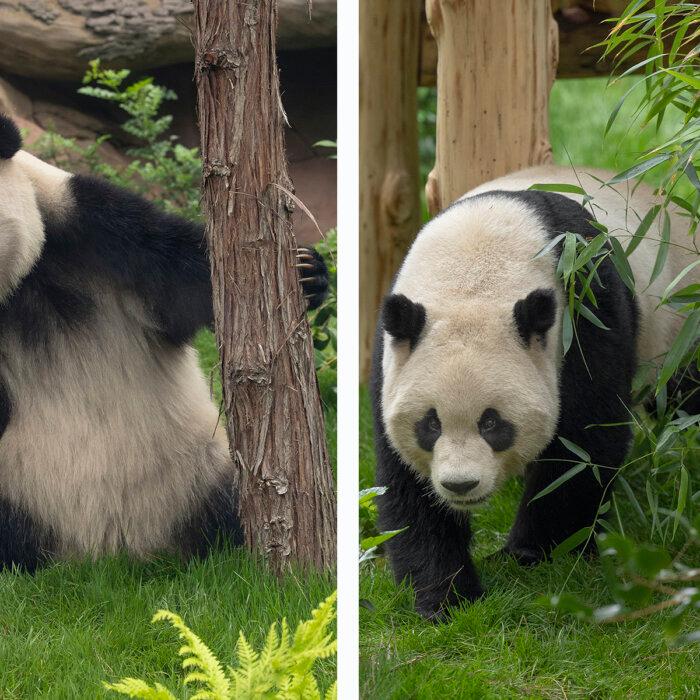 The Epoch Times