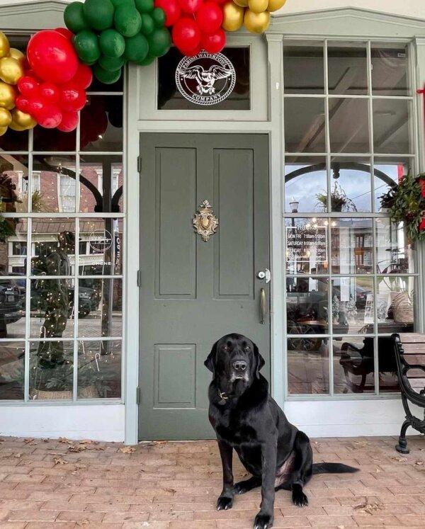 Parish, an 8-year-old black lab, welcomes customers to Parish Waterfowl Co. in Vicksburg, Miss., in an undated photo. (Courtesy of Brad Eldridge)