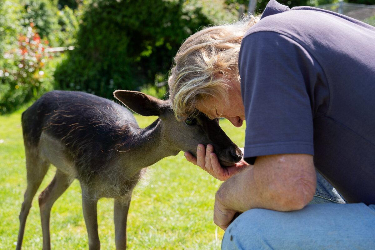 Mr. Hopper says Milly is very affectionate and will come when her name is called. (SWNS)