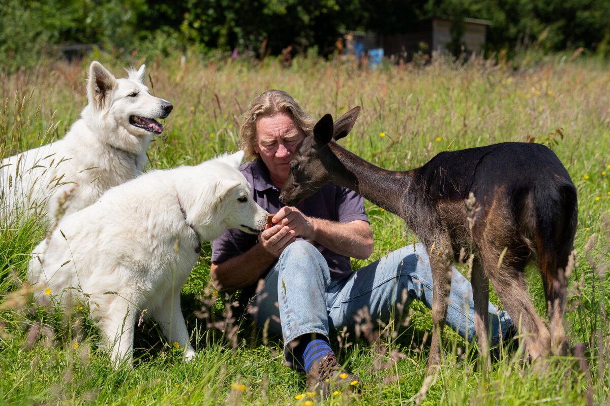 Mr. Hopper, Milly, and his German shepherds on June 17, 2024. (SWNS)