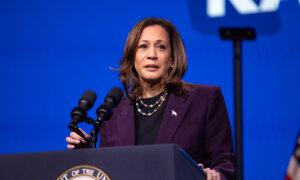 DNC Begins Virtual Roll Call to Formally Nominate Harris for President