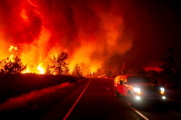 Smoke rises above the roadway as the Park Fire jumps Highway 36 near Paynes Creek in Tehama County, Calif., on July 26, 2024. (Noah Berger/AP Photo)
