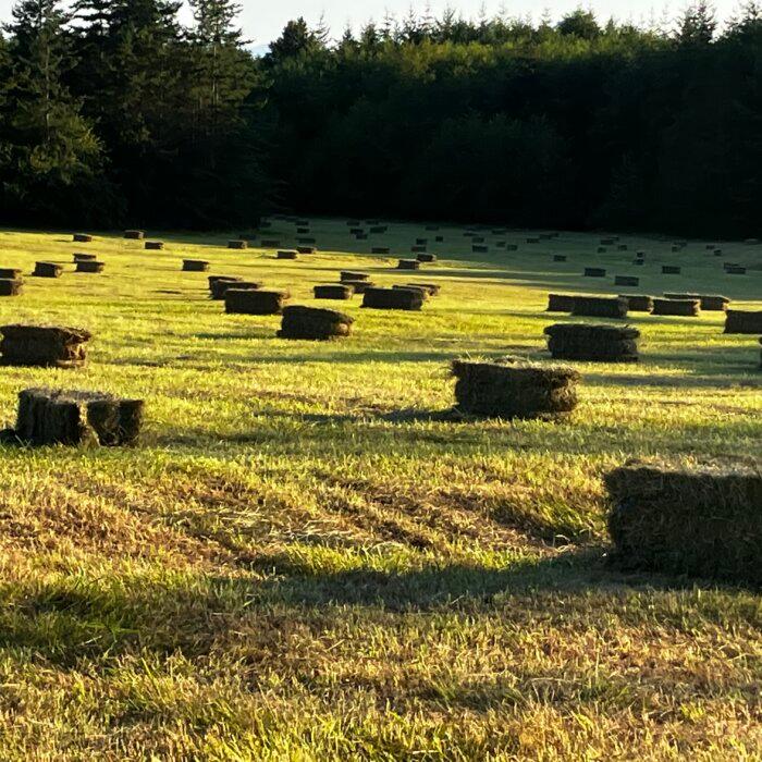 I Moved From the City to a 27-acre Farm on a Remote Island—and Learned to Be Careful What You Wish For