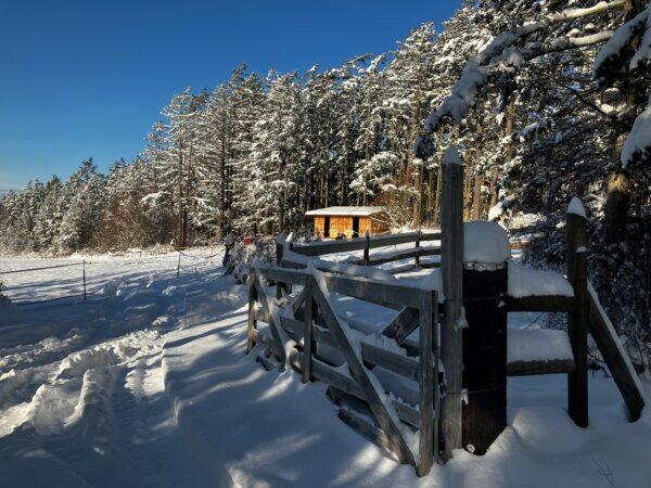 The author's barn covered in snow—a beautiful scene from the same month their faucets froze. (Eric Lucas)