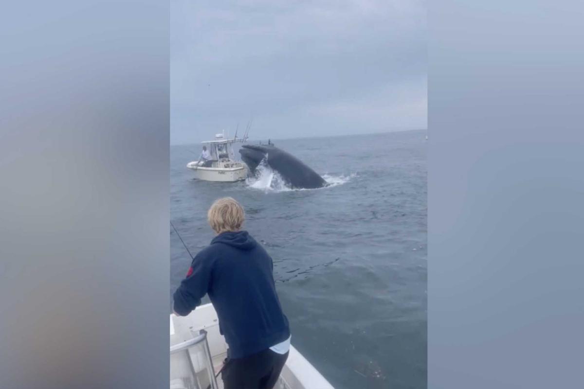 The whale lands on the boat of the two men near where the brothers were fishing on July 23. (Screenshot/Newsflare)
