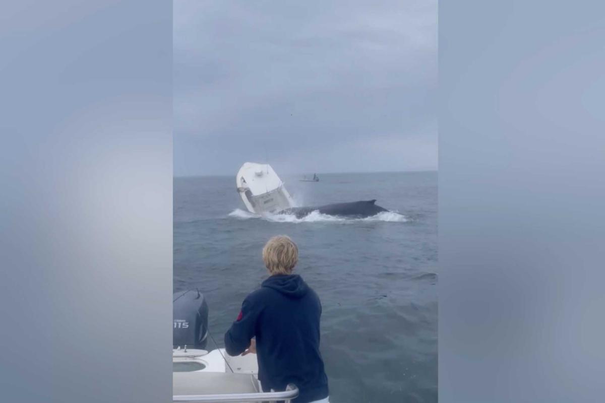 The two men are flung overboard and their boat capsizes. (Screenshot/Newsflare)