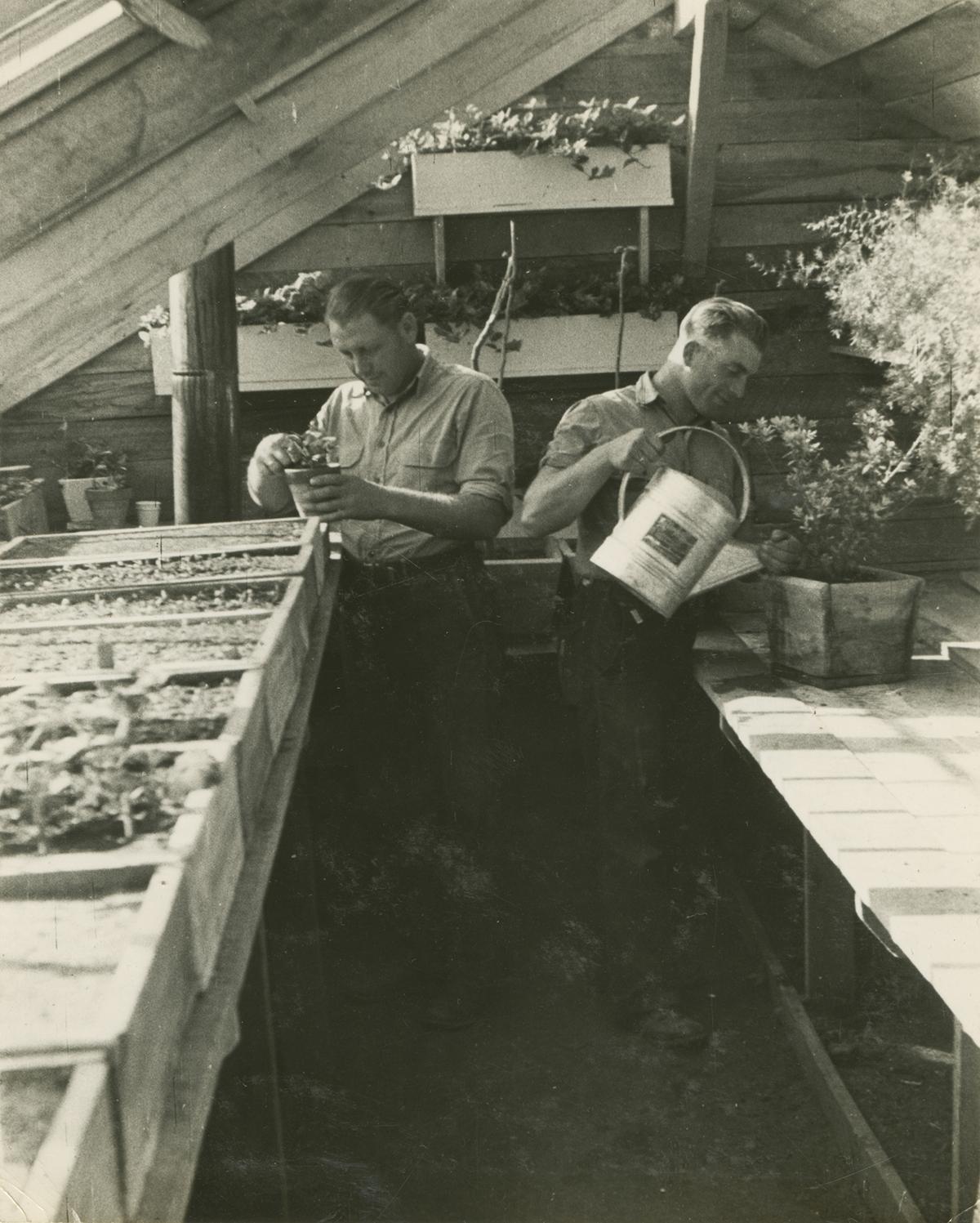 Several POWs worked in the greenhouse at Camp Aliceville in Alabama, tending to flowers and plants for their gardens. (Aliceville Museum)