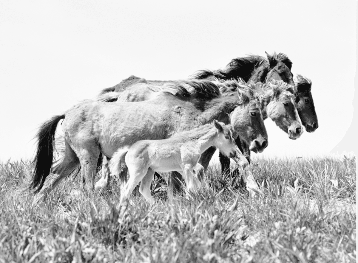 Photo titled "Generations" by Roberto Dutesco. (Courtesy of Roberto Dutesco © 2024)