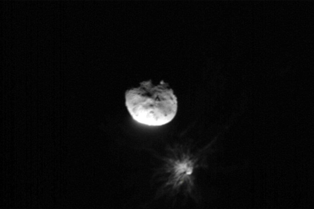 NASA Images Unlock Complex History of 2 Near-Earth Asteroids