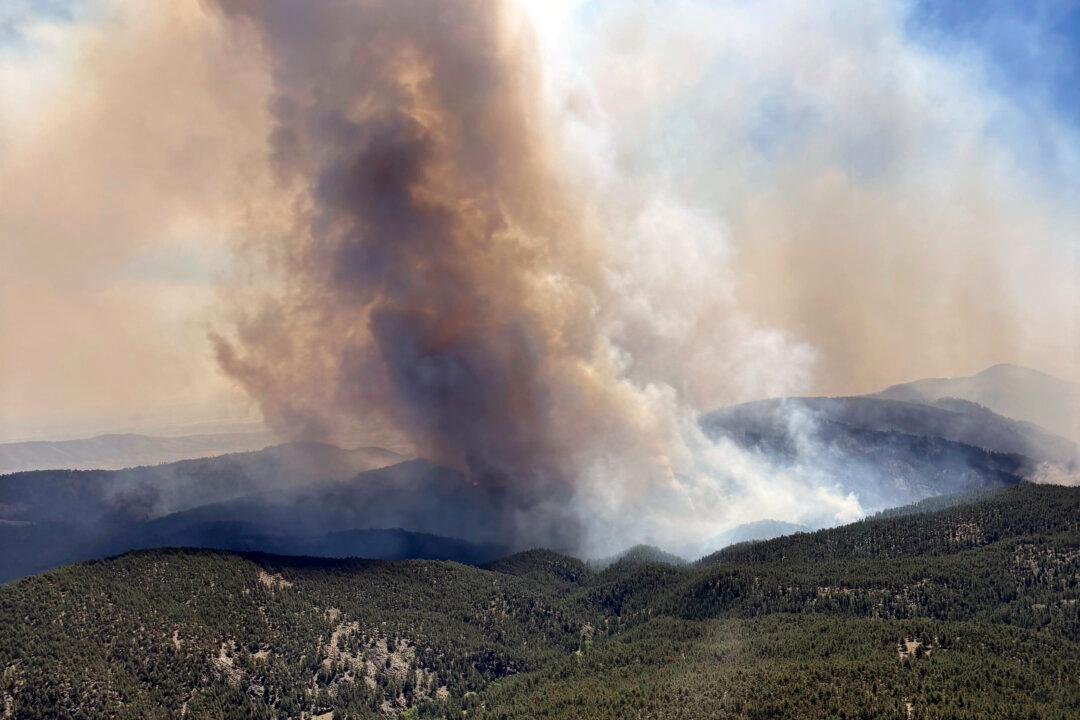 1 Person Killed in Colorado Wildfires as Blazes Torch Large Areas of the US West