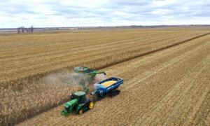 As the tariff war escalates, the White House weighs new farmers' relief