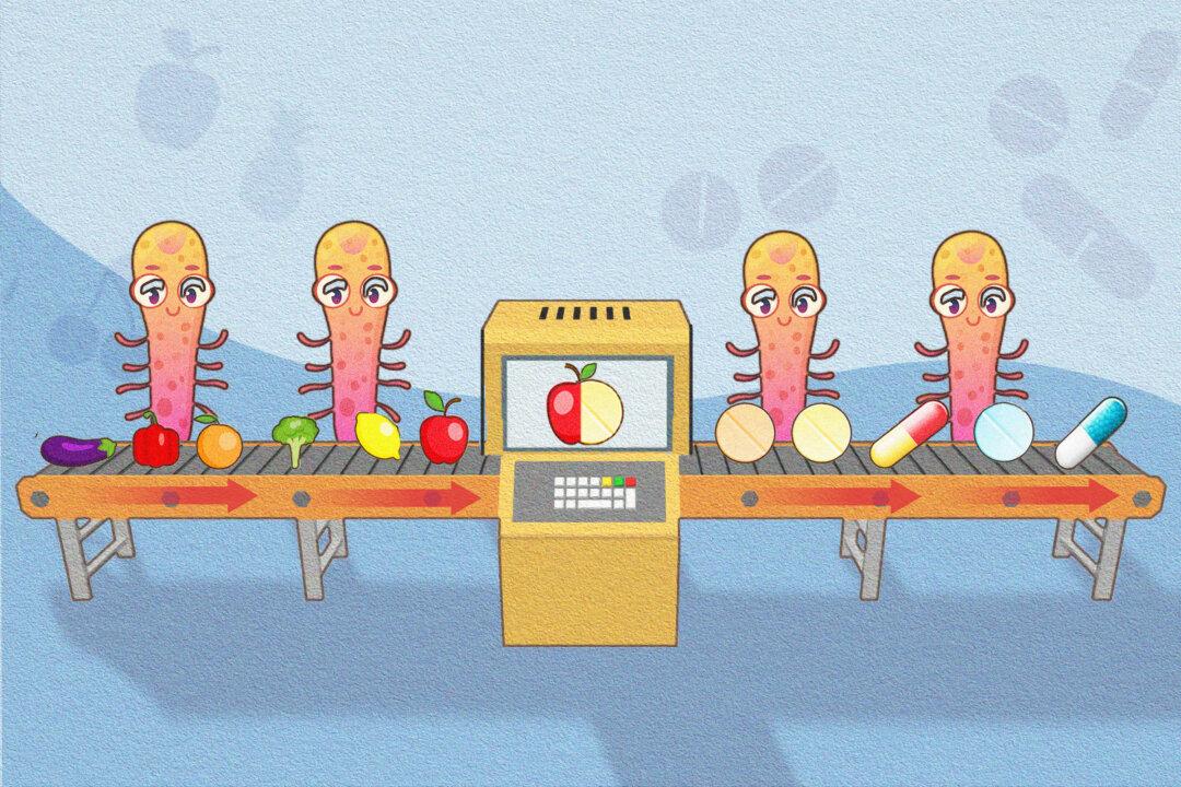 Could Microbes in Your Gut Replace Your Supplements?