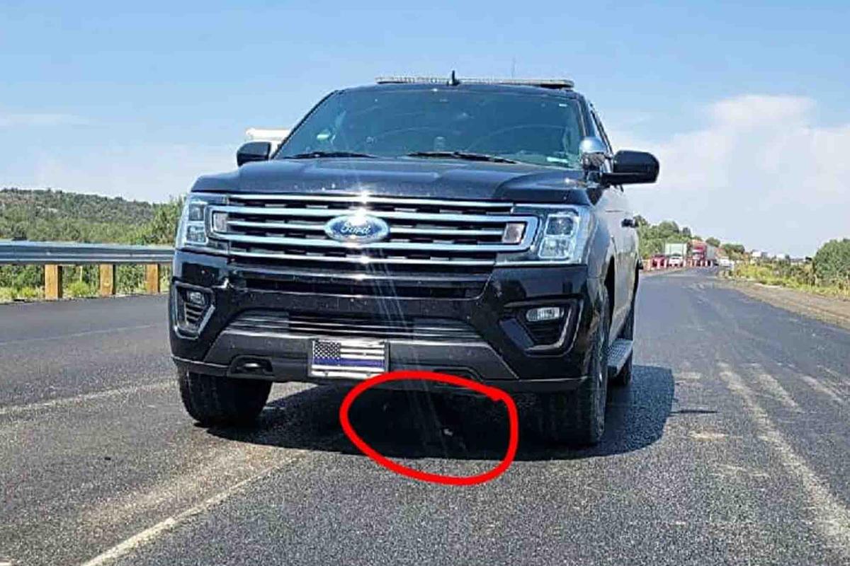 An eaglet takes shelter under Sgt. Giralde's vehicle. (Courtesy of Mohave County Sheriff's Office)