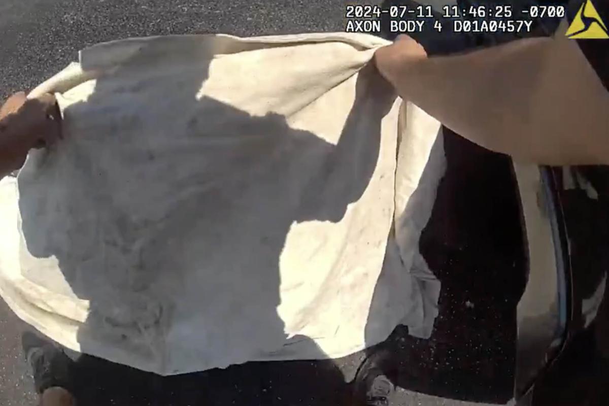 Sgt. Giralde drapes a cloth over the eaglet and proceeds to pick it up and bring it safely into his vehicle to cool in the AC. (Courtesy of Mohave County Sheriff's Office)