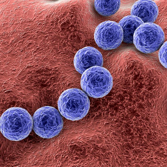 Scientists Develop New Compound That Kills Flesh-Eating Bacteria and Other Drug-Resistant Bacteria