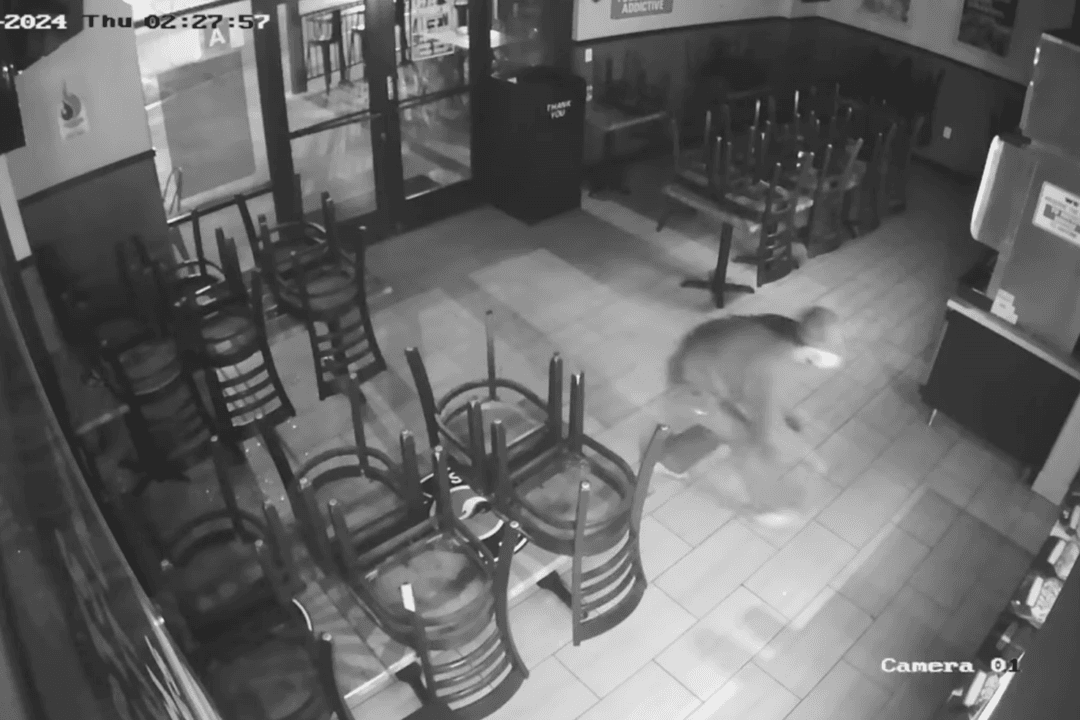 Businesses Targeted by Burglars in San Fernando; Investigation Underway