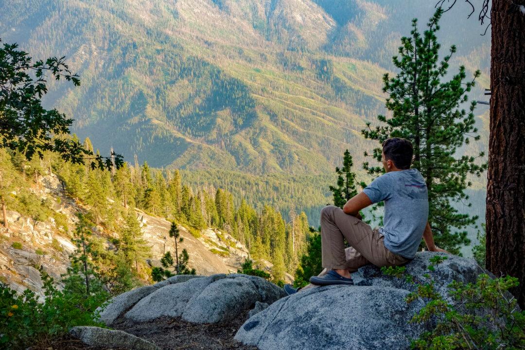 The Nature Cure for Mental Health