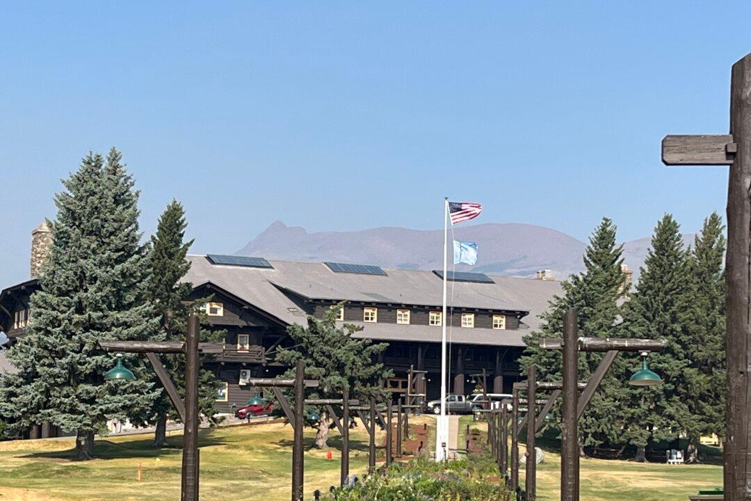 Towering Timbers: A Lodge That Resembles an Indoor Forest