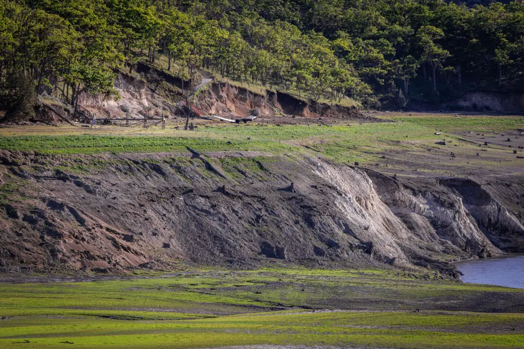 When the Soil Breaks Down, So Do We