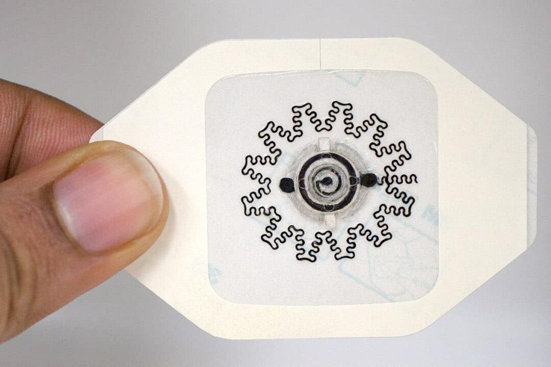 New Electric Bandage Accelerates Healing of Chronic Wounds: Animal Study