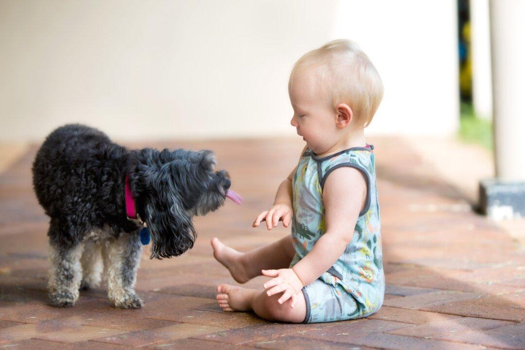 The Many Health Benefits of Your Pet’s Bacteria