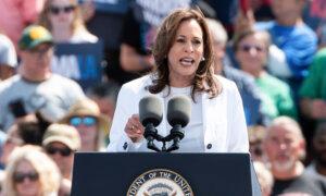 Jewish Democrats Weigh In on Harris Amid Israelâs War With Hamas